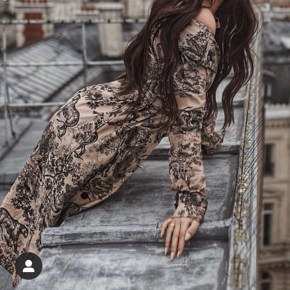 Christian Dior toile de Jouy Cruise Collection Coat - Picture 4 of 13